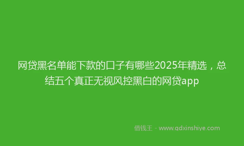 网贷黑名单能下款的口子有哪些2025年精选，总结五个真正无视风控黑白的网贷app