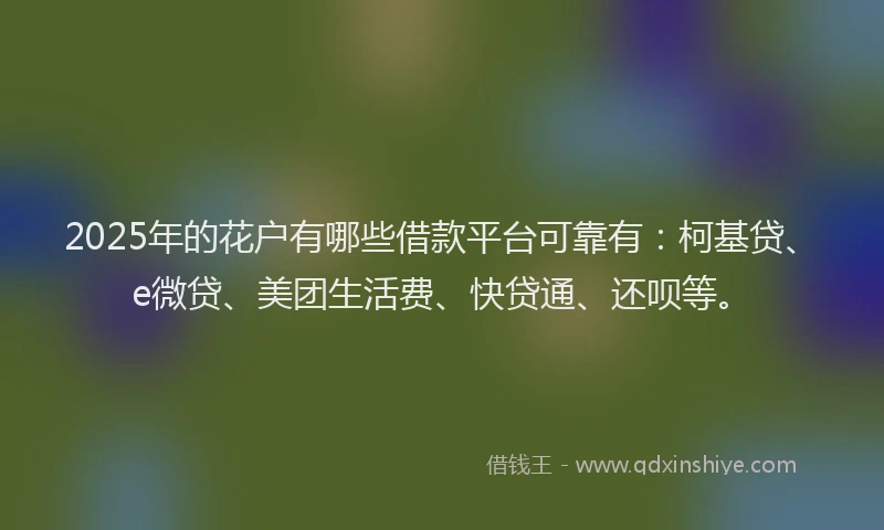2025年的花户有哪些借款平台可靠有：柯基贷、e微贷、美团生活费、快贷通、还呗等。