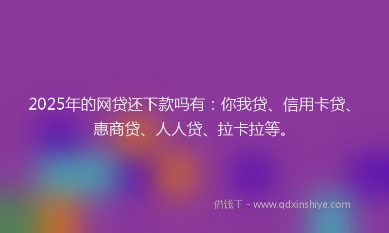 2025年的网贷还下款吗有：你我贷、信用卡贷、惠商贷、人人贷、拉卡拉等。