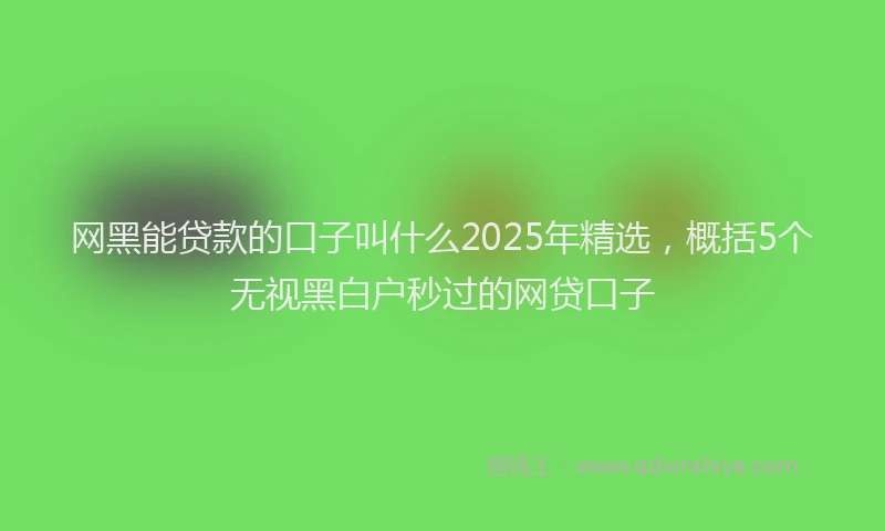 网黑能贷款的口子叫什么2025年精选，概括5个无视黑白户秒过的网贷口子