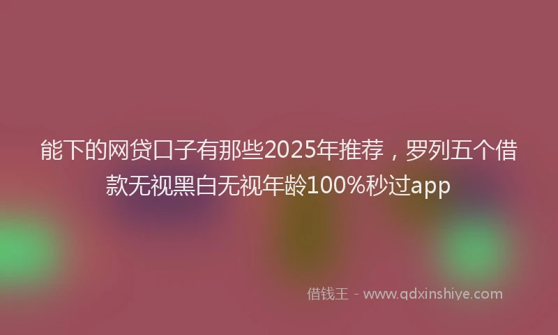能下的网贷口子有那些2025年推荐，罗列五个借款无视黑白无视年龄100%秒过app