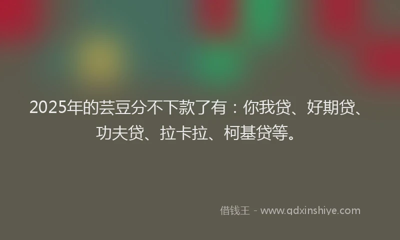 2025年的芸豆分不下款了有：你我贷、好期贷、功夫贷、拉卡拉、柯基贷等。
