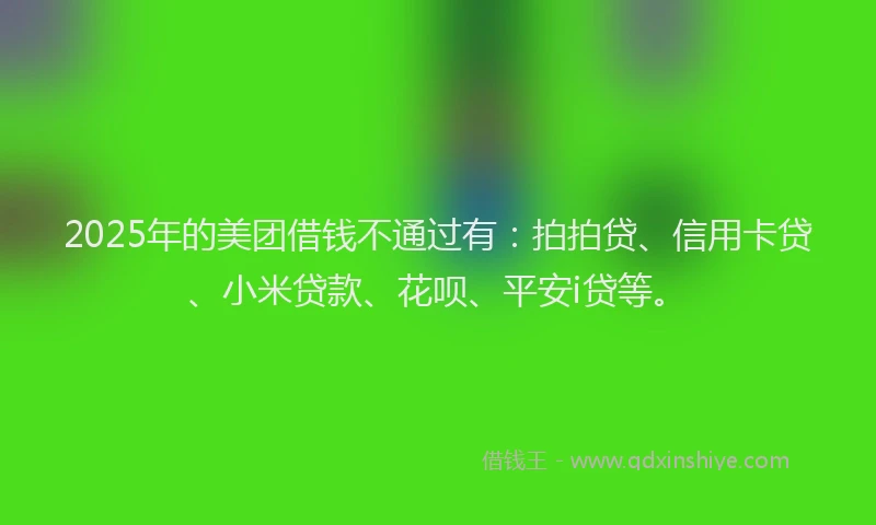 2025年的美团借钱不通过有：拍拍贷、信用卡贷、小米贷款、花呗、平安i贷等。