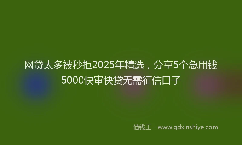 网贷太多被秒拒2025年精选，分享5个急用钱5000快审快贷无需征信口子