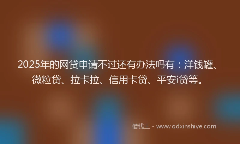 2025年的网贷申请不过还有办法吗有：洋钱罐、微粒贷、拉卡拉、信用卡贷、平安i贷等。