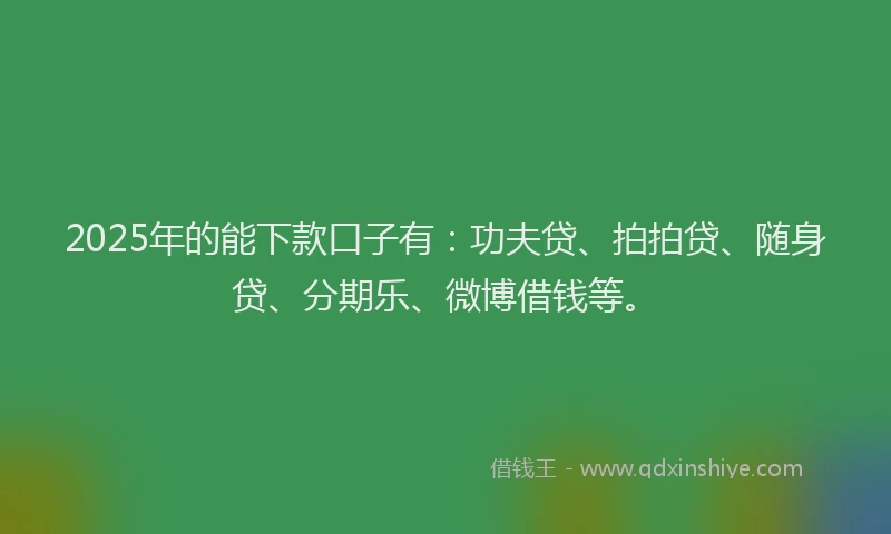 2025年的能下款口子有：功夫贷、拍拍贷、随身贷、分期乐、微博借钱等。