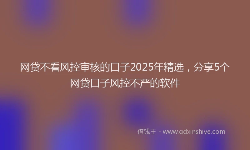 网贷不看风控审核的口子2025年精选，分享5个网贷口子风控不严的软件