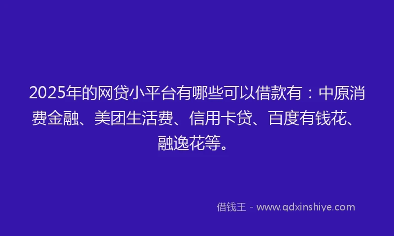 2025年的网贷小平台有哪些可以借款有：中原消费金融、美团生活费、信用卡贷、百度有钱花、融逸花等。
