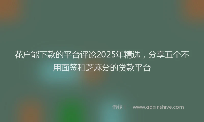 花户能下款的平台评论2025年精选，分享五个不用面签和芝麻分的贷款平台