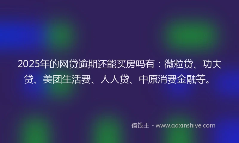 2025年的网贷逾期还能买房吗有：微粒贷、功夫贷、美团生活费、人人贷、中原消费金融等。
