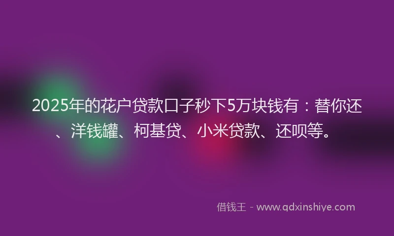 2025年的花户贷款口子秒下5万块钱有：替你还、洋钱罐、柯基贷、小米贷款、还呗等。