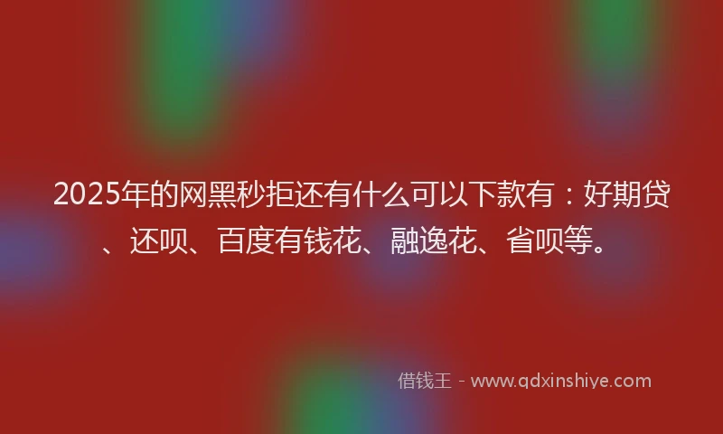 2025年的网黑秒拒还有什么可以下款有：好期贷、还呗、百度有钱花、融逸花、省呗等。