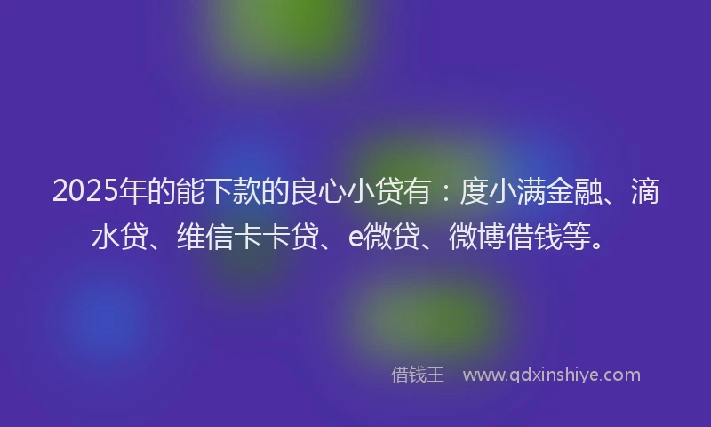 2025年的能下款的良心小贷有：度小满金融、滴水贷、维信卡卡贷、e微贷、微博借钱等。
