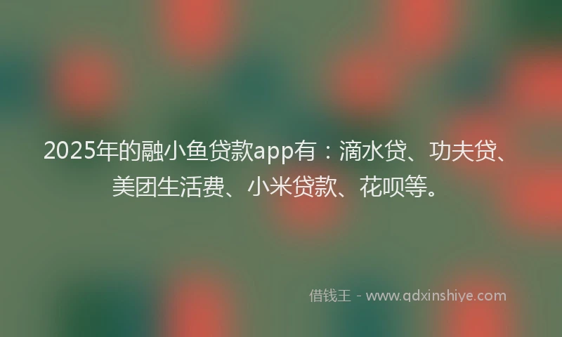 2025年的融小鱼贷款app有：滴水贷、功夫贷、美团生活费、小米贷款、花呗等。