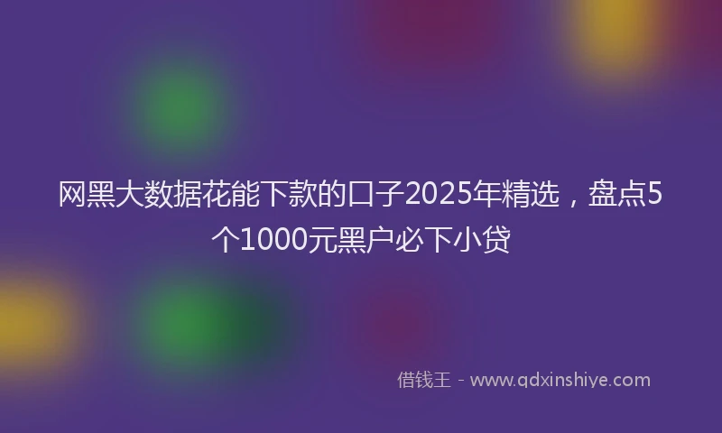 网黑大数据花能下款的口子2025年精选，盘点5个1000元黑户必下小贷