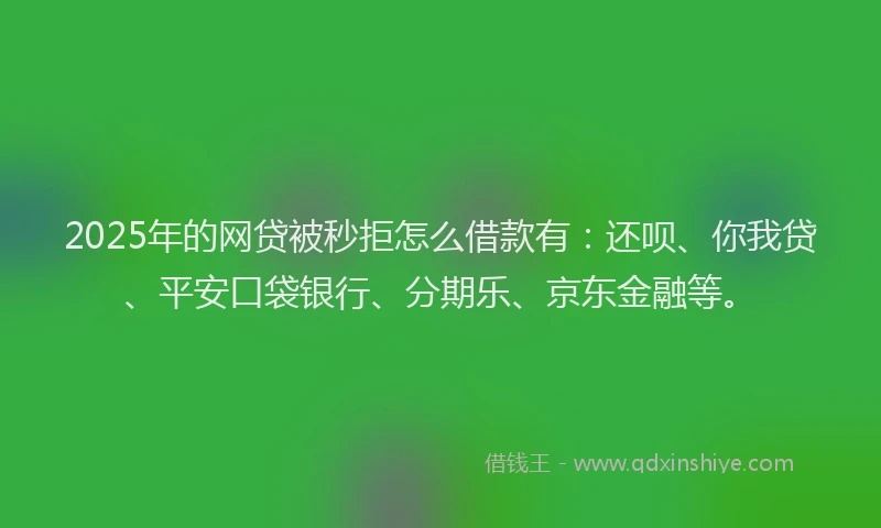 2025年的网贷被秒拒怎么借款有：还呗、你我贷、平安口袋银行、分期乐、京东金融等。