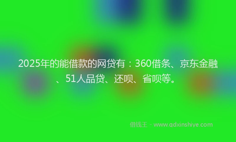 2025年的能借款的网贷有：360借条、京东金融、51人品贷、还呗、省呗等。