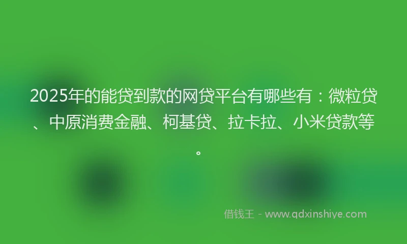 2025年的能贷到款的网贷平台有哪些有：微粒贷、中原消费金融、柯基贷、拉卡拉、小米贷款等。