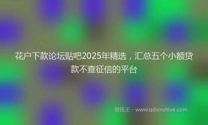 花户下款论坛贴吧2025年精选，汇总五个小额贷款不查征信的平台