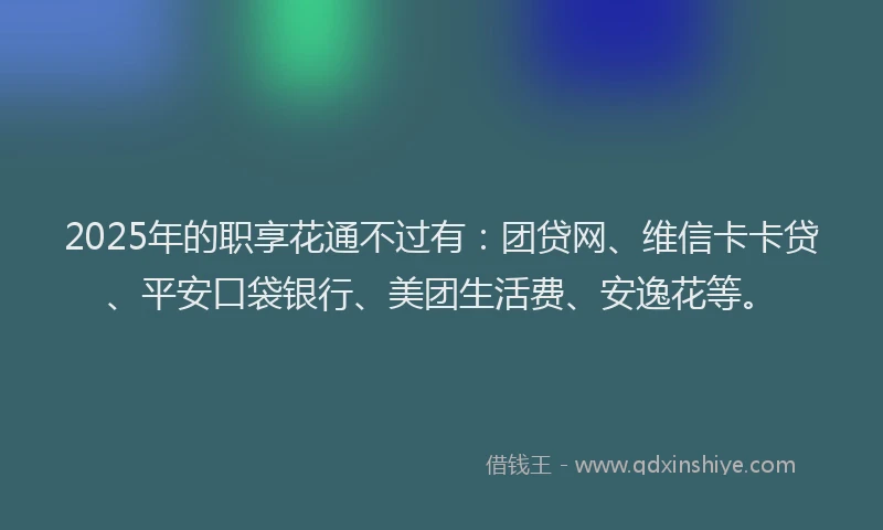 2025年的职享花通不过有：团贷网、维信卡卡贷、平安口袋银行、美团生活费、安逸花等。