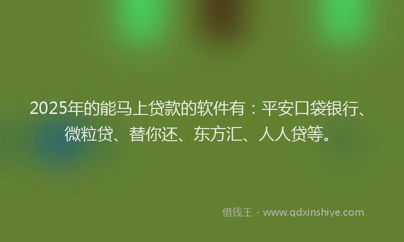 2025年的能马上贷款的软件有：平安口袋银行、微粒贷、替你还、东方汇、人人贷等。