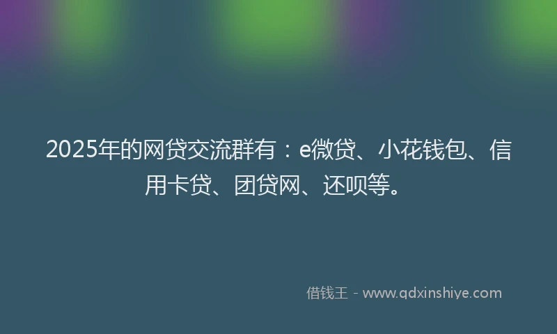 2025年的网贷交流群有：e微贷、小花钱包、信用卡贷、团贷网、还呗等。