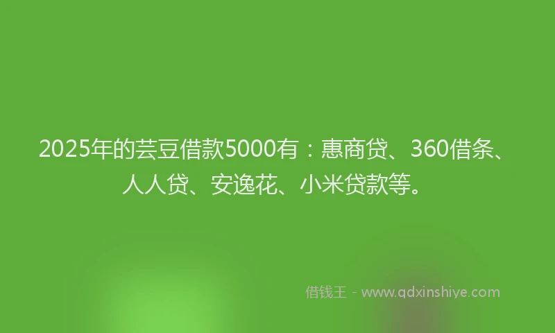 2025年的芸豆借款5000有：惠商贷、360借条、人人贷、安逸花、小米贷款等。