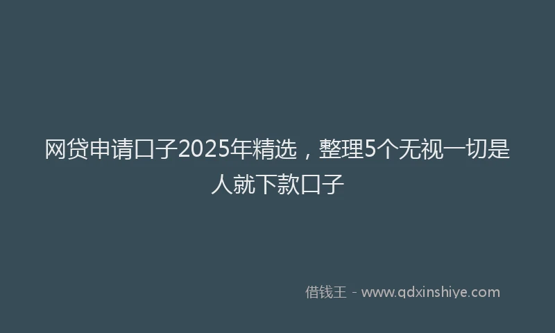 网贷申请口子2025年精选，整理5个无视一切是人就下款口子