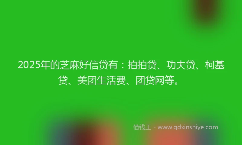 2025年的芝麻好信贷有：拍拍贷、功夫贷、柯基贷、美团生活费、团贷网等。