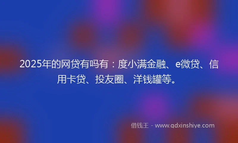2025年的网贷有吗有：度小满金融、e微贷、信用卡贷、投友圈、洋钱罐等。