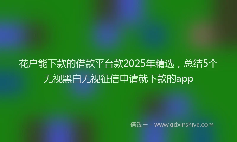 花户能下款的借款平台款2025年精选，总结5个无视黑白无视征信申请就下款的app
