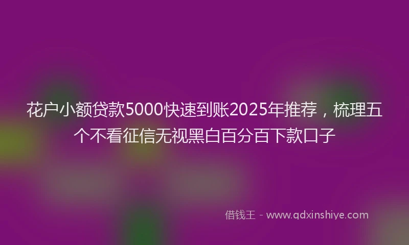 花户小额贷款5000快速到账2025年推荐，梳理五个不看征信无视黑白百分百下款口子