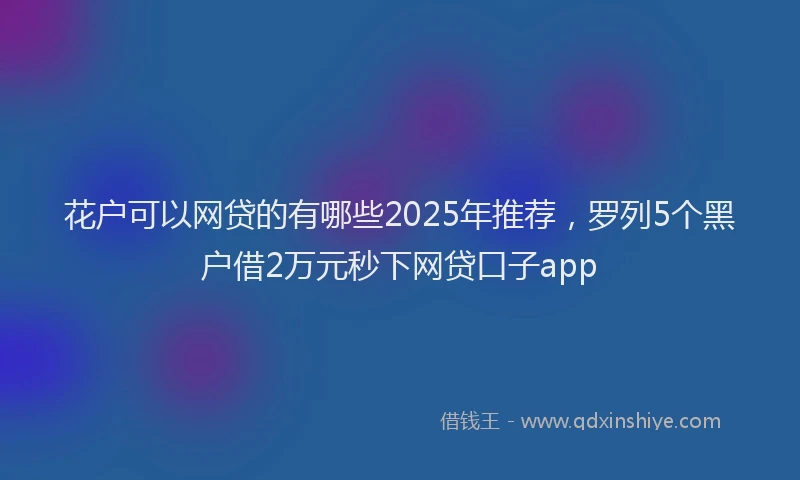 花户可以网贷的有哪些2025年推荐，罗列5个黑户借2万元秒下网贷口子app