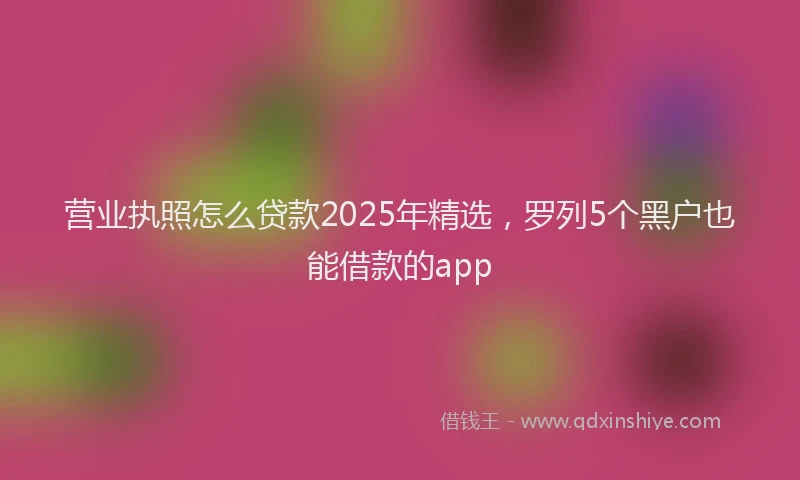 营业执照怎么贷款2025年精选，罗列5个黑户也能借款的app