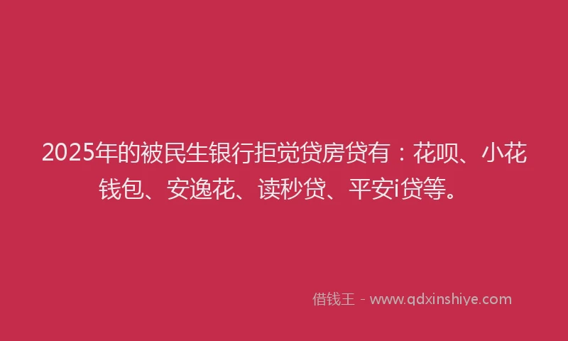2025年的被民生银行拒觉贷房贷有：花呗、小花钱包、安逸花、读秒贷、平安i贷等。