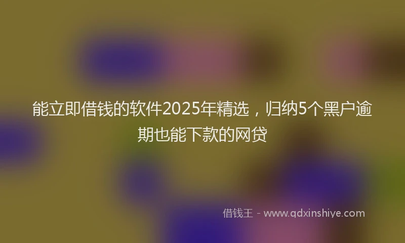 能立即借钱的软件2025年精选，归纳5个黑户逾期也能下款的网贷