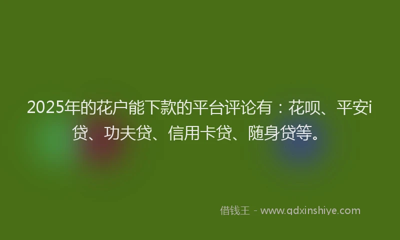 2025年的花户能下款的平台评论有：花呗、平安i贷、功夫贷、信用卡贷、随身贷等。