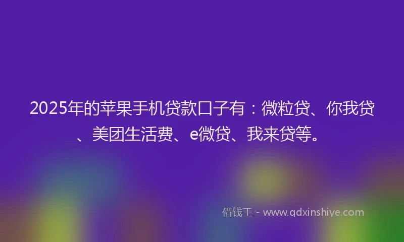2025年的苹果手机贷款口子有：微粒贷、你我贷、美团生活费、e微贷、我来贷等。