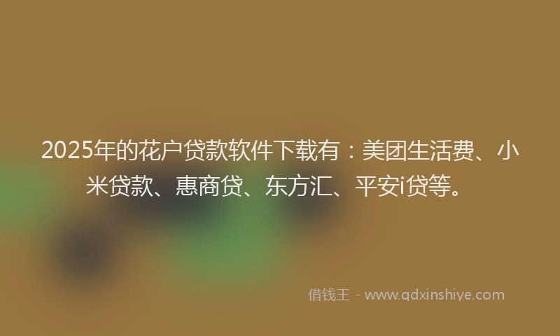 2025年的花户贷款软件下载有：美团生活费、小米贷款、惠商贷、东方汇、平安i贷等。