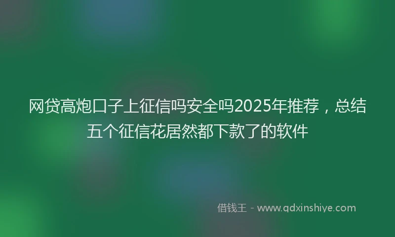 网贷高炮口子上征信吗安全吗2025年推荐，总结五个征信花居然都下款了的软件