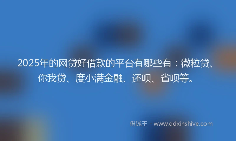 2025年的网贷好借款的平台有哪些有：微粒贷、你我贷、度小满金融、还呗、省呗等。