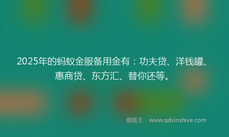 2025年的蚂蚁金服备用金有：功夫贷、洋钱罐、惠商贷、东方汇、替你还等。