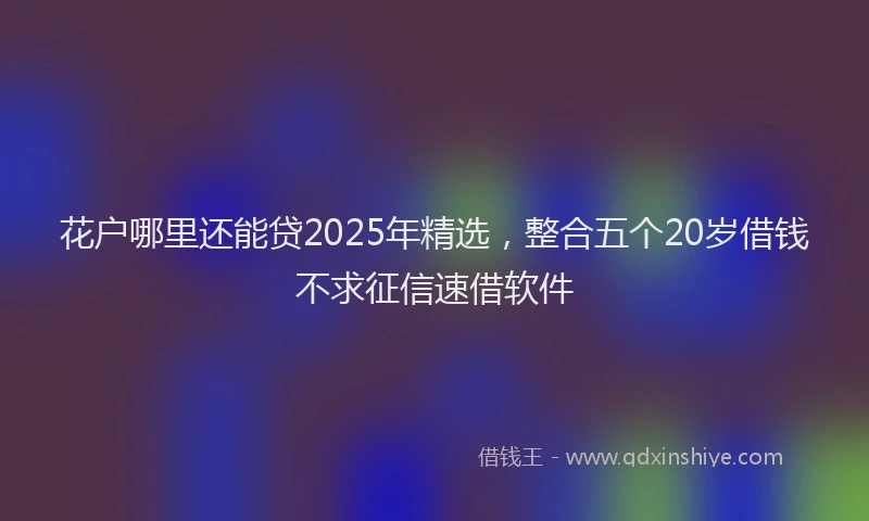 花户哪里还能贷2025年精选，整合五个20岁借钱不求征信速借软件