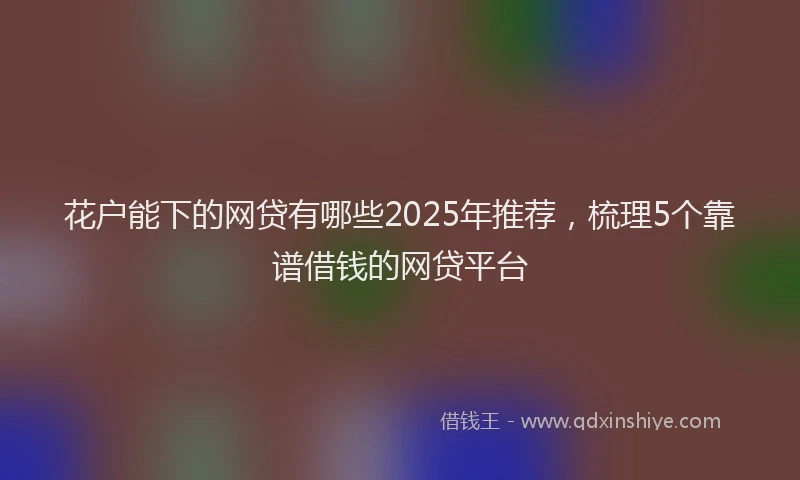 花户能下的网贷有哪些2025年推荐，梳理5个靠谱借钱的网贷平台