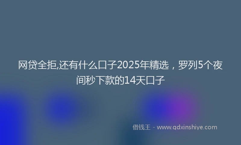 网贷全拒,还有什么口子2025年精选，罗列5个夜间秒下款的14天口子