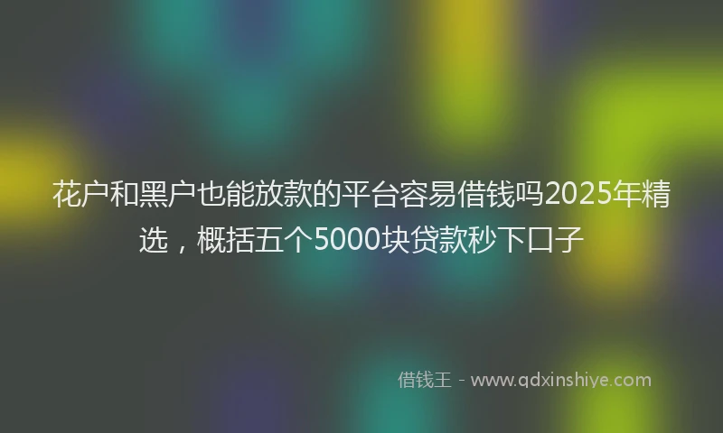 花户和黑户也能放款的平台容易借钱吗2025年精选，概括五个5000块贷款秒下口子