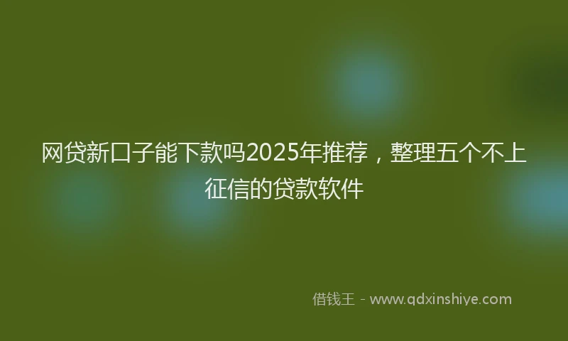 网贷新口子能下款吗2025年推荐，整理五个不上征信的贷款软件