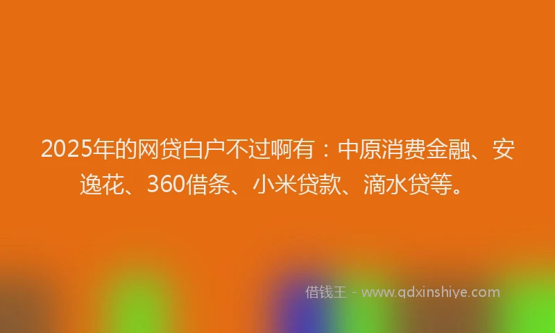 2025年的网贷白户不过啊有：中原消费金融、安逸花、360借条、小米贷款、滴水贷等。