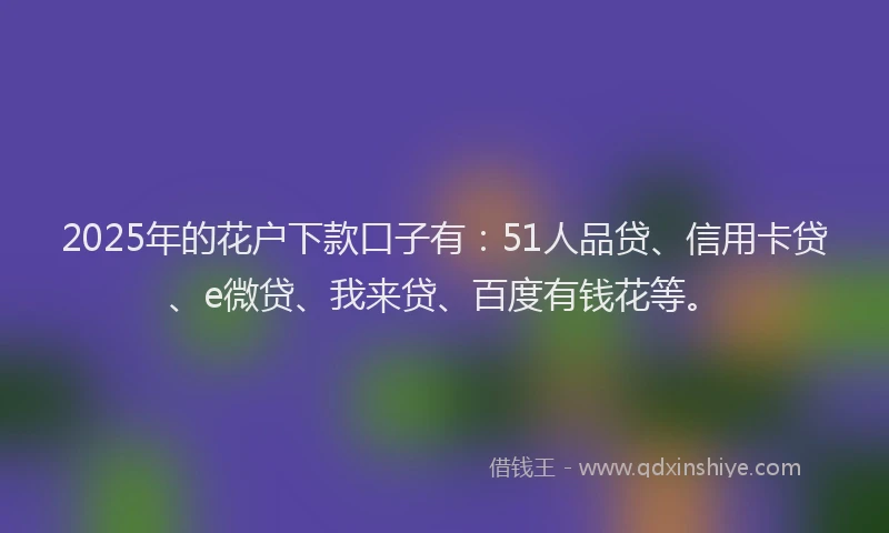 2025年的花户下款口子有：51人品贷、信用卡贷、e微贷、我来贷、百度有钱花等。