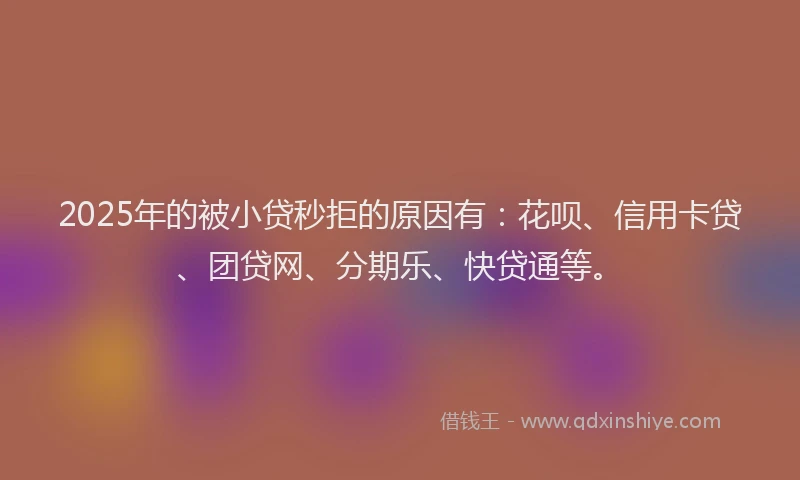 2025年的被小贷秒拒的原因有：花呗、信用卡贷、团贷网、分期乐、快贷通等。